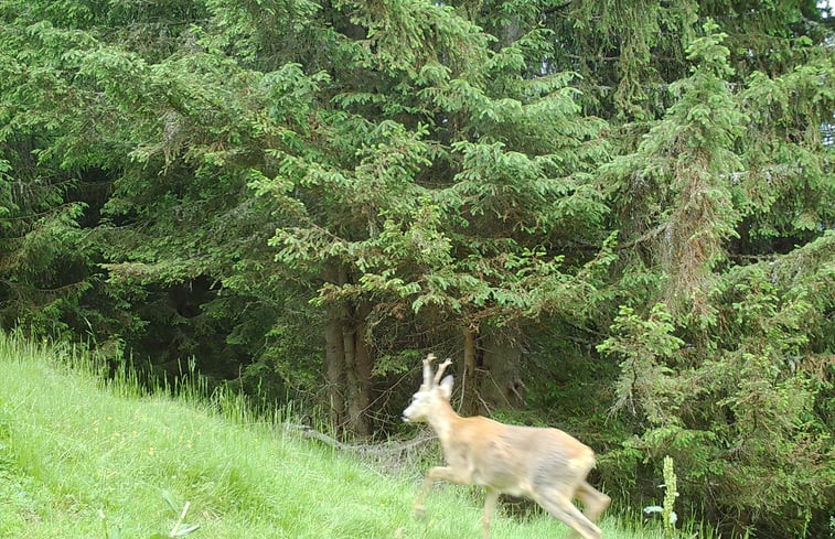 Natuurhuisje in Hochrindl