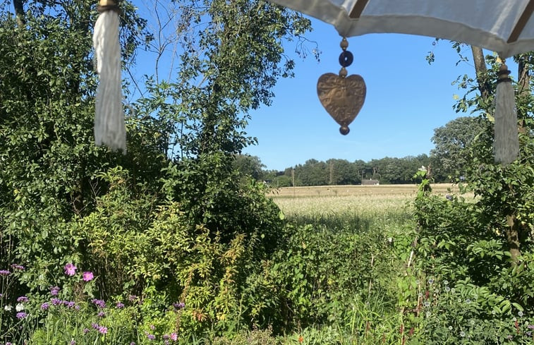 Natuurhuisje in Ruinen