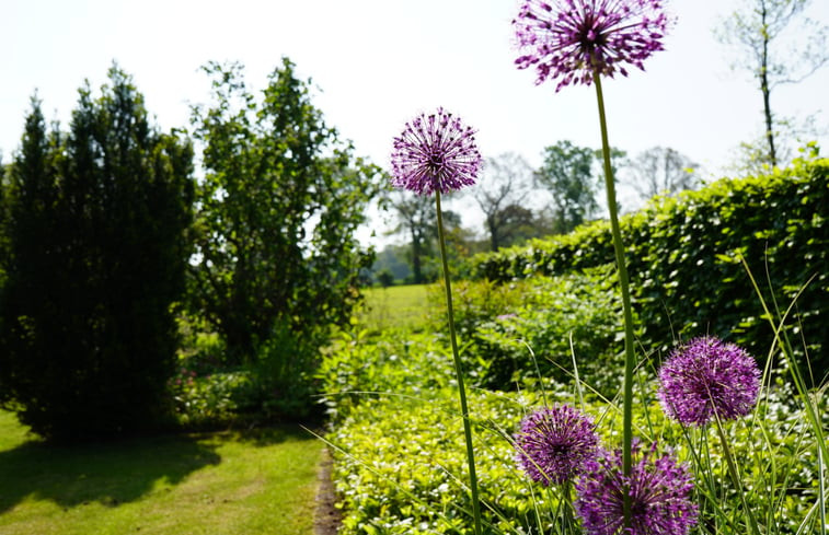 Natuurhuisje in Vasse