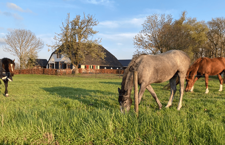 Natuurhuisje in Wezep Oldebroek