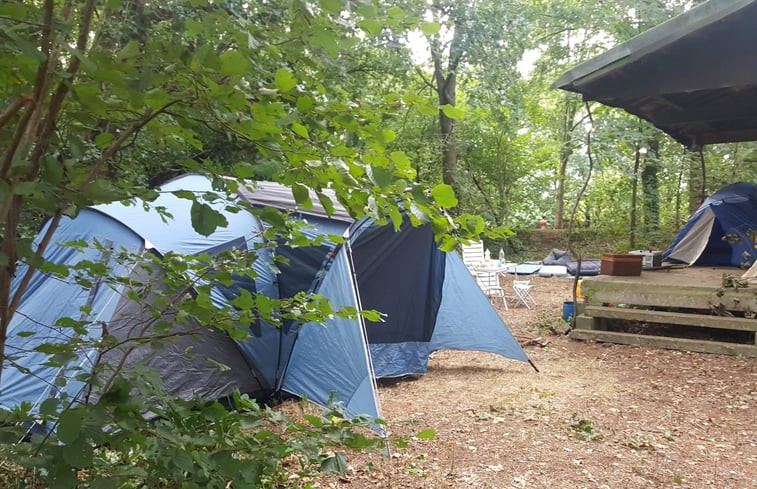 Natuurhuisje in Kasterlee