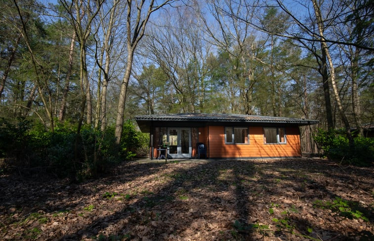 Natuurhuisje in Voorthuizen