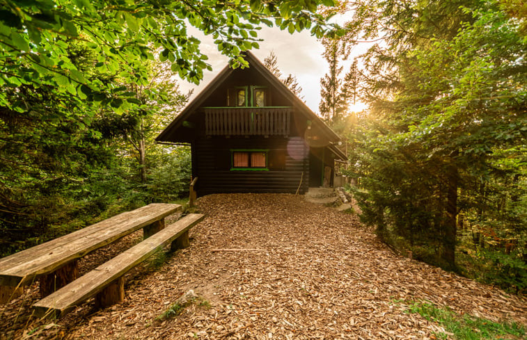 Natuurhuisje in Žirovnica