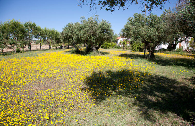 Natuurhuisje in Évora