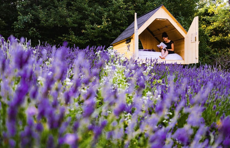 Natuurhuisje in Merana