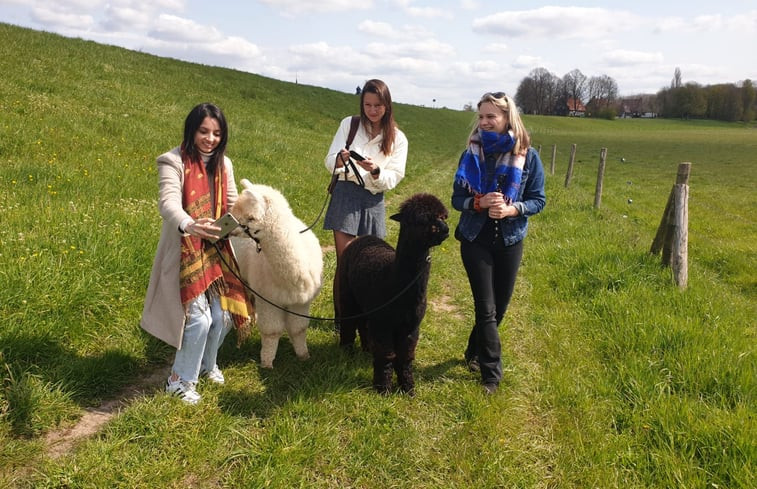 Natuurhuisje in Nederasselt