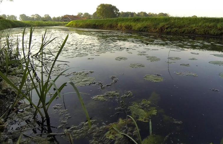 Natuurhuisje in Ruurlo