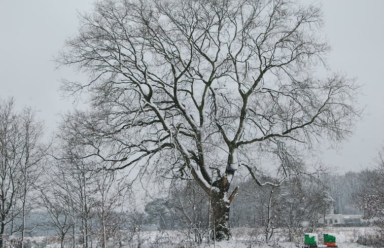 Natuurhuisje in Biest-Houtakker