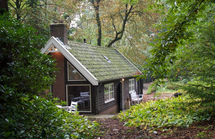 Natuurhuisje in Bosch en Duin