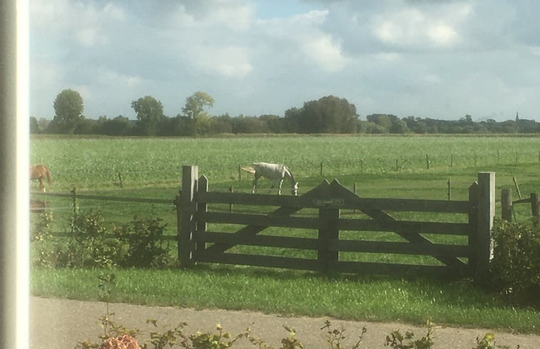 Natuurhuisje in Buggenum-Roermond