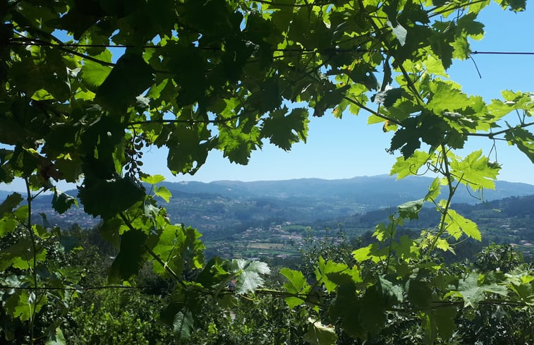 Natuurhuisje in Castelo de Paiva