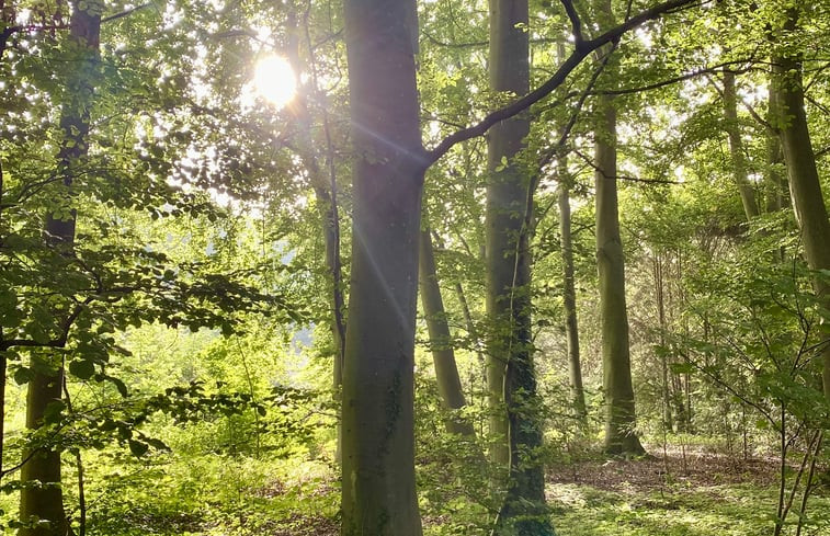 Natuurhuisje in Twello