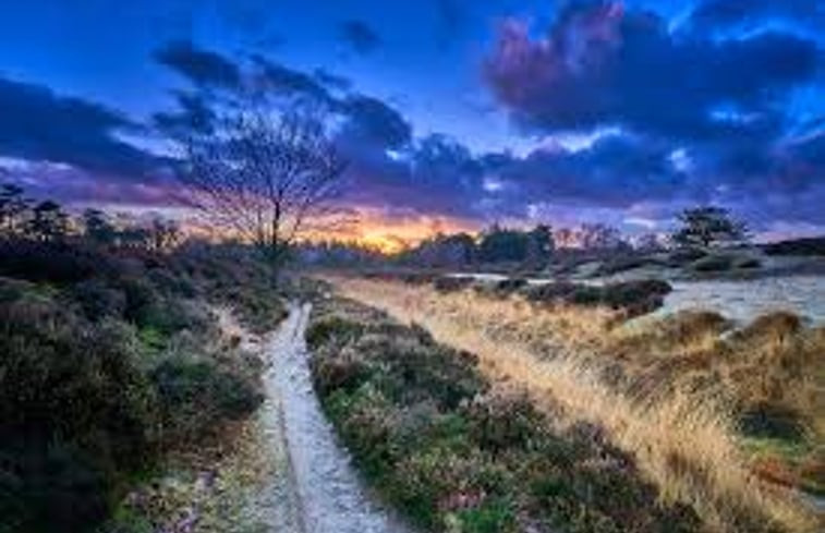 Natuurhuisje in Driebergen-Rijsenburg