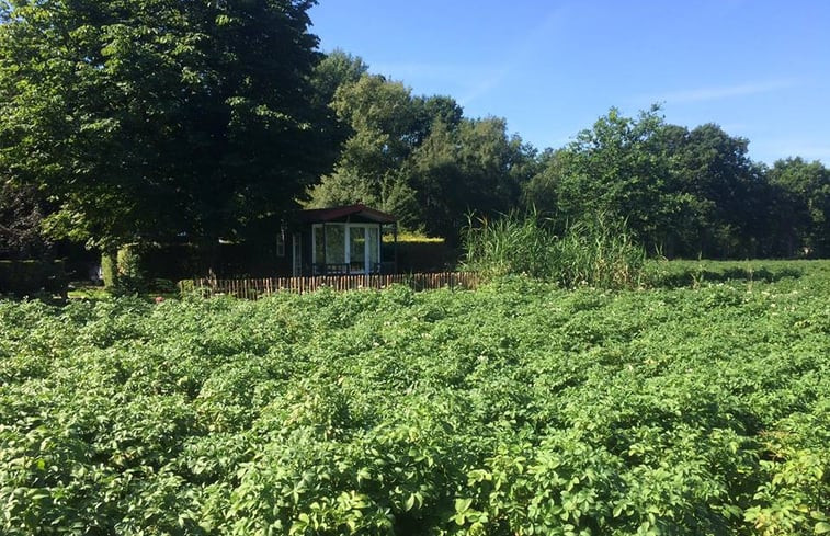 Natuurhuisje in Laren