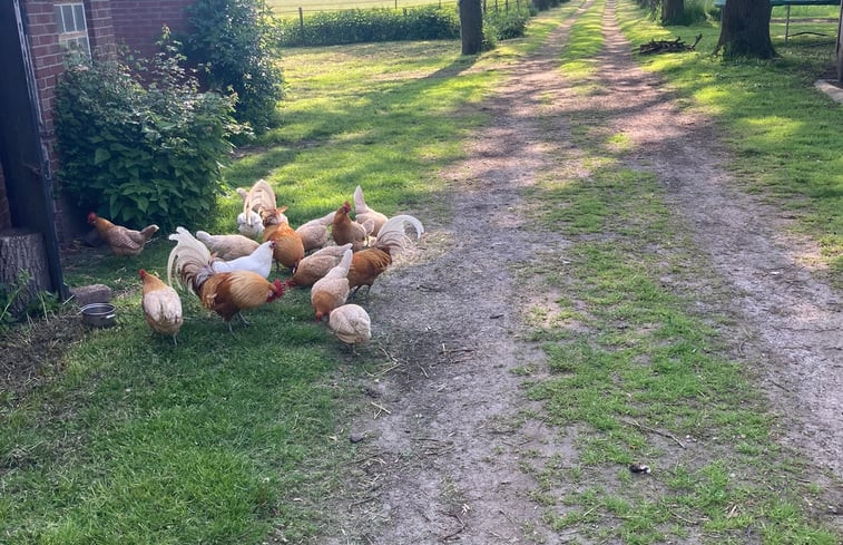 Natuurhuisje in Winterswijk