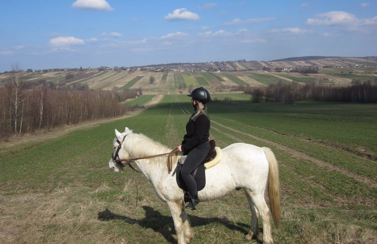 Natuurhuisje in Kapkazy Bodzentyn