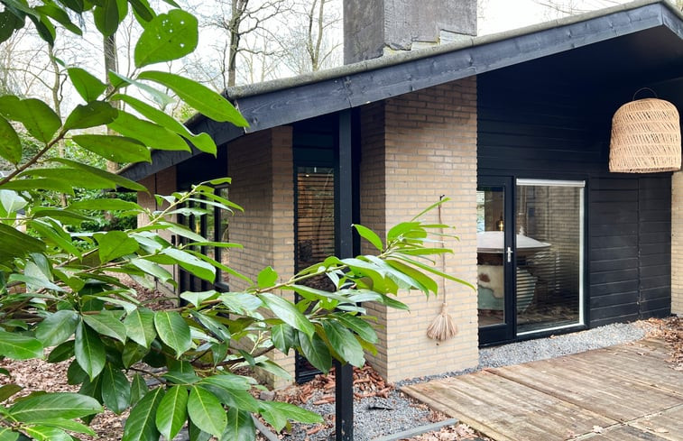 Natuurhuisje in Rheezerveen