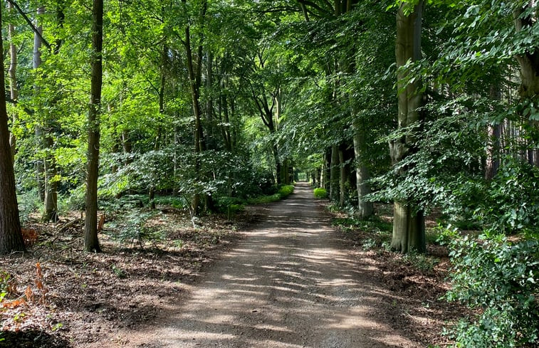 Natuurhuisje in Bergen op Zoom