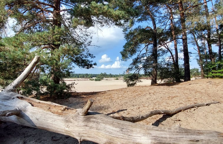 Natuurhuisje in Soest