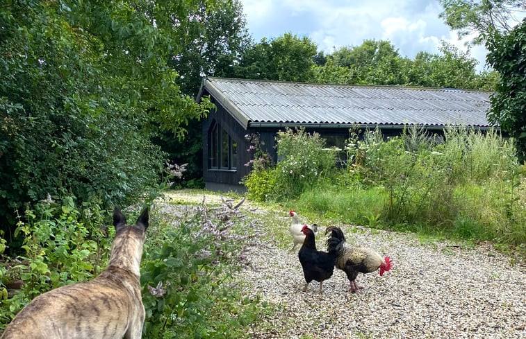 Natuurhuisje in Welsum