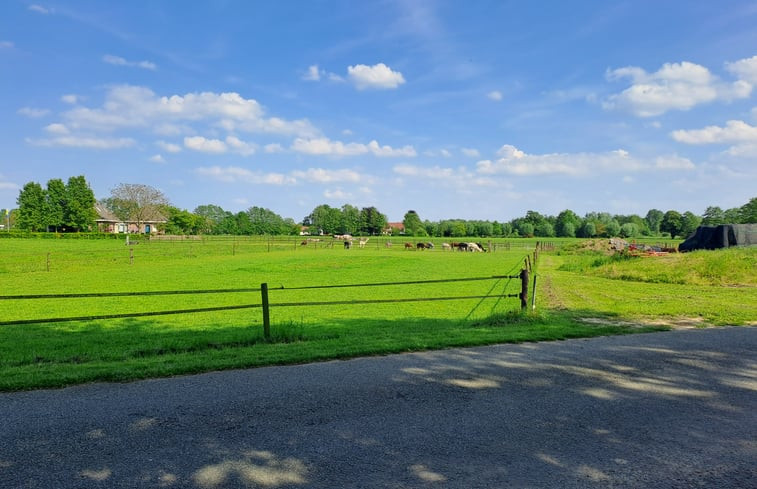 Natuurhuisje in Zelhem