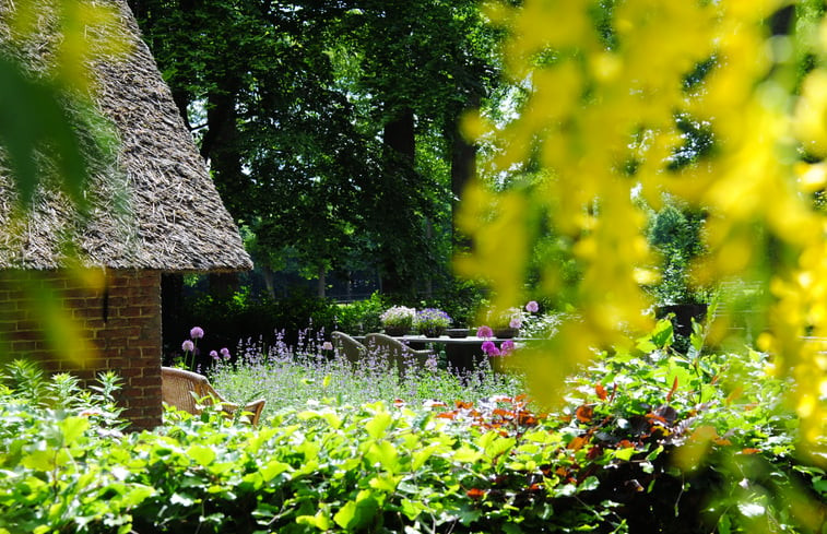 Natuurhuisje in Heerde