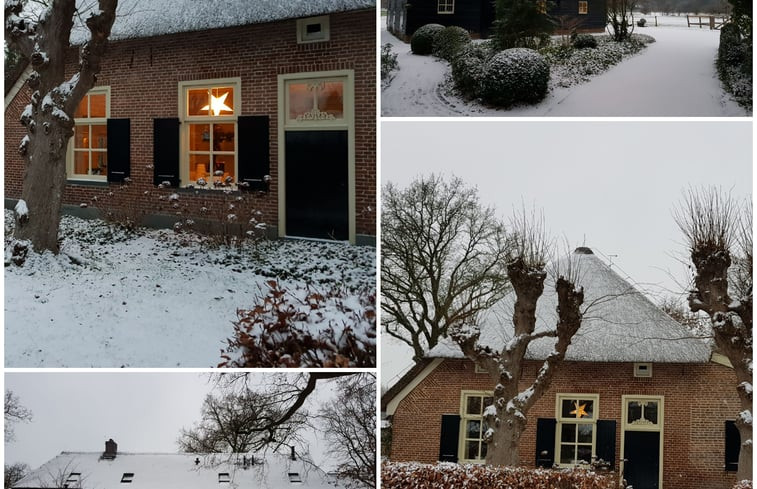 Natuurhuisje in Ruinen