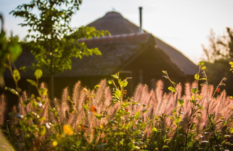 Natuurhuisje in Tuitjenhorn