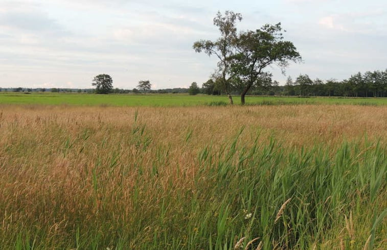 Natuurhuisje in Ruinen