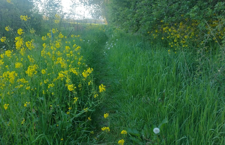 Natuurhuisje in Almere