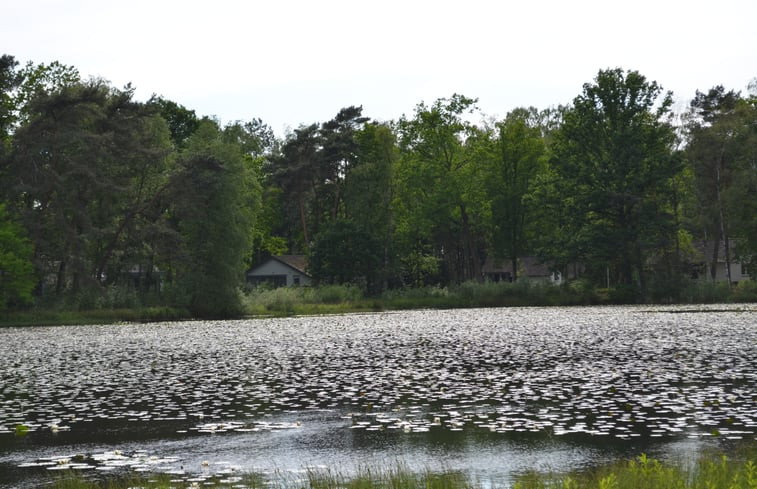 Natuurhuisje in Stramproy