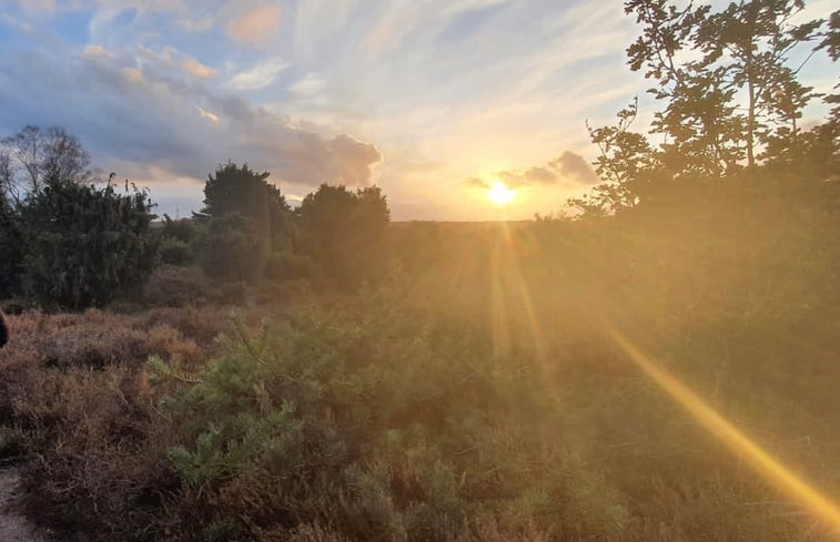 Natuurhuisje in Lemele