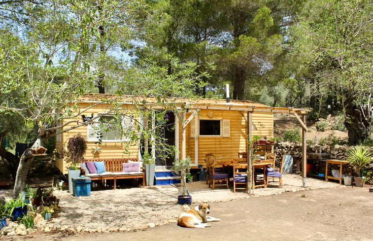 Natuurhuisje in l&apos;Ametlla de Mar