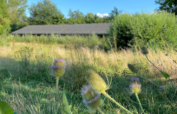 Natuurhuisje in Welsum