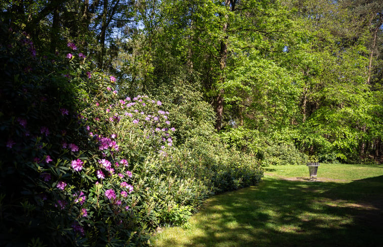 Natuurhuisje in Norg