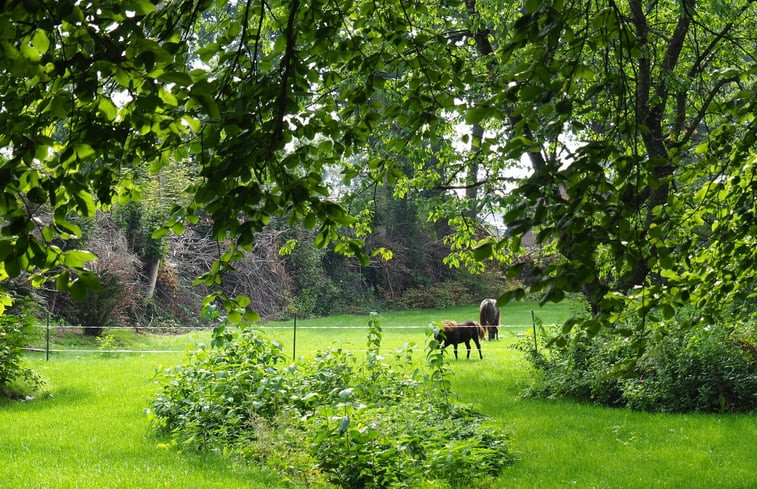 Natuurhuisje in Oldeberkoop