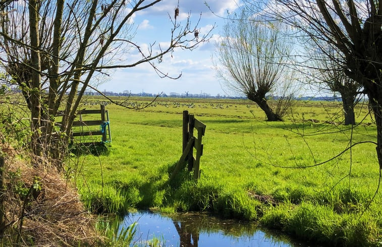 Natuurhuisje in Brandwijk