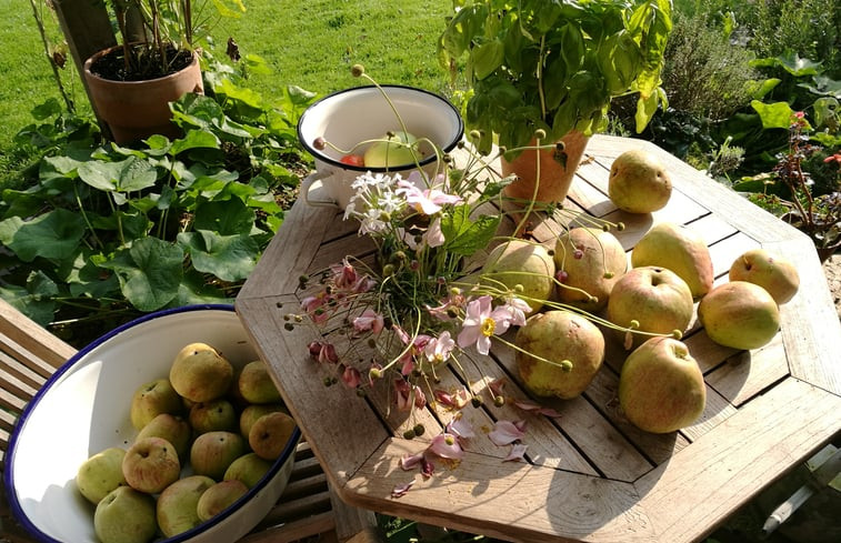 Natuurhuisje in wurster Nordseeküste