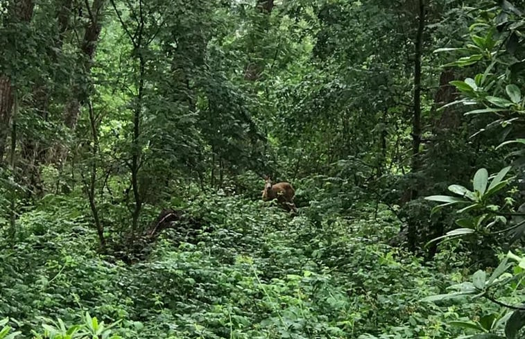 Natuurhuisje in Breda