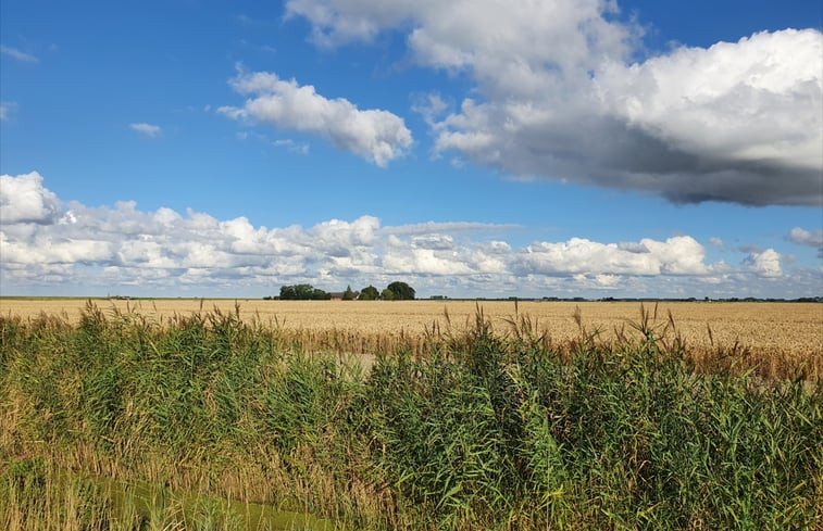 Natuurhuisje in Zuidland