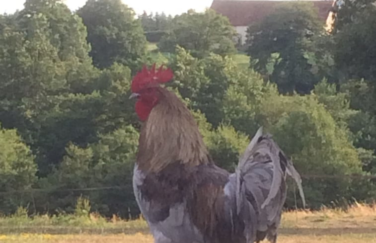 Natuurhuisje in Malleret-Boussac