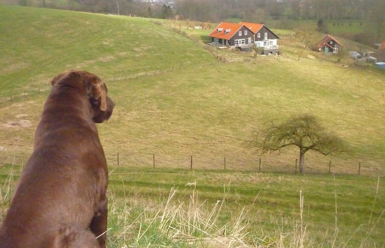 Natuurhuisje in Wijlre