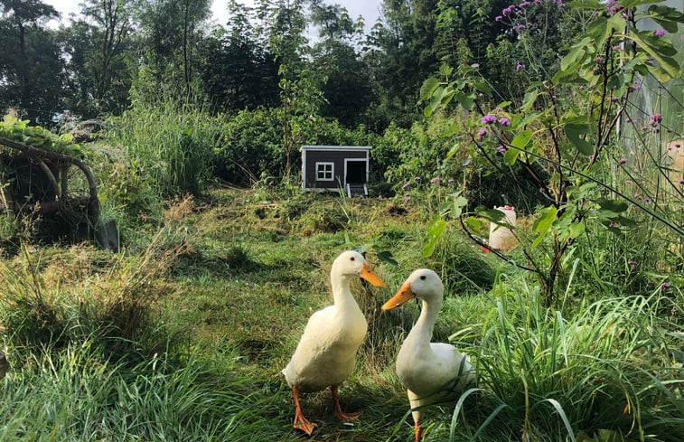 Natuurhuisje in Donkerbroek