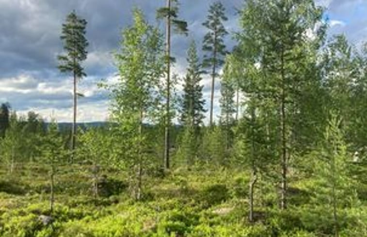 Natuurhuisje in Sveg