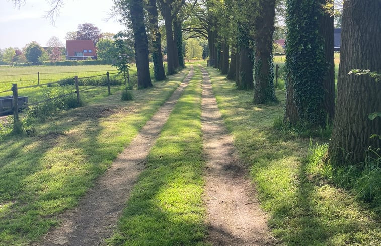 Natuurhuisje in Winterswijk