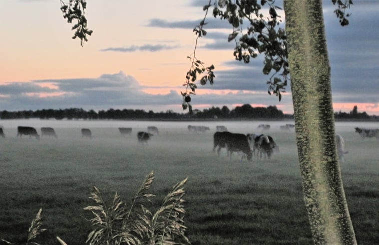 Natuurhuisje in Readtsjerk (Roodkerk)