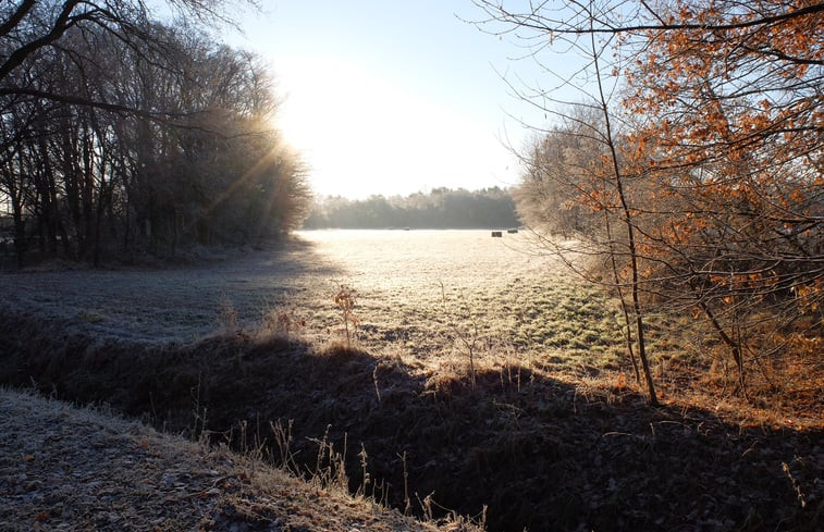 Natuurhuisje in Valkenswaard