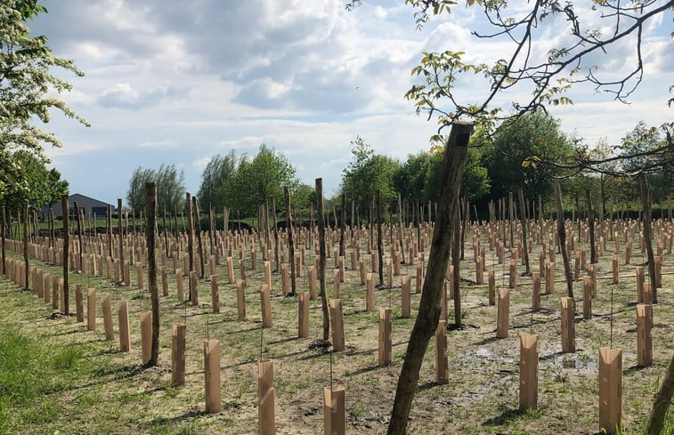 Natuurhuisje in Hooge Zwaluwe