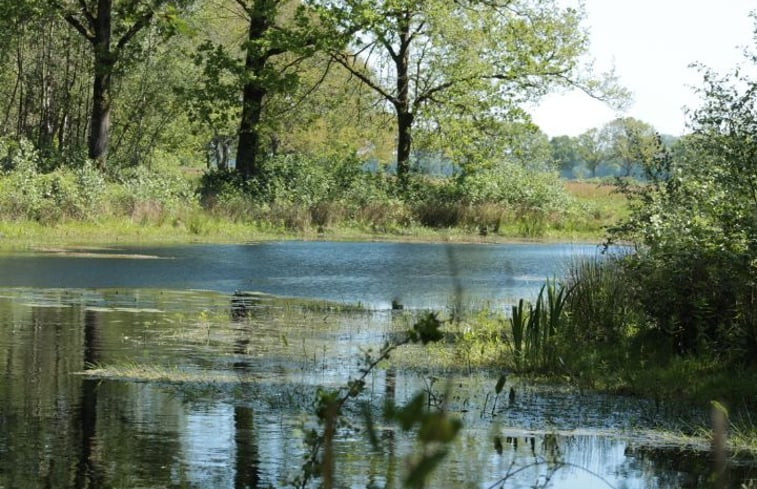 Natuurhuisje in Mill