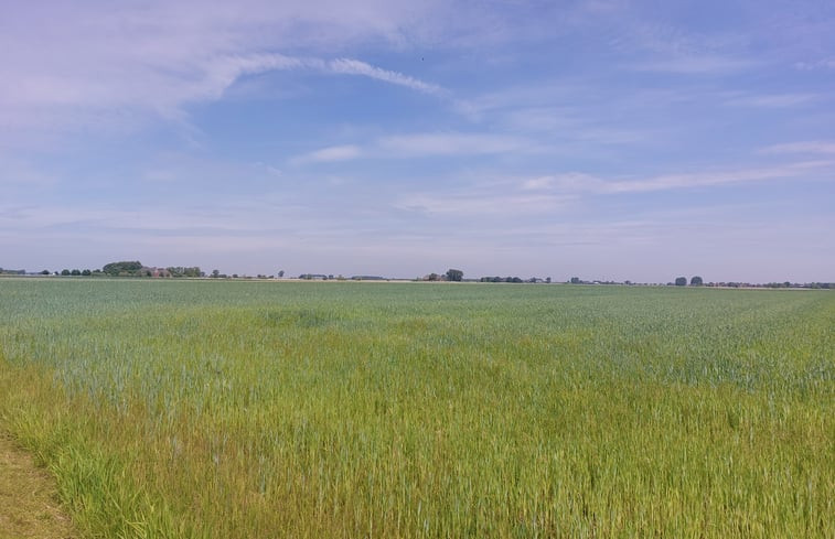 Natuurhuisje in Pieterzijl